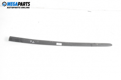 Външни лайсни за Seat Ibiza III Hatchback (02.2002 - 11.2009), хечбек, позиция: дясна