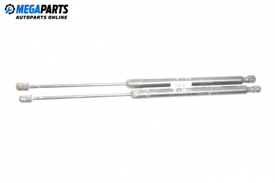 Амортисьор за багажник/товарно пространство за Mercedes-Benz B-Class Hatchback I (03.2005 - 11.2011)