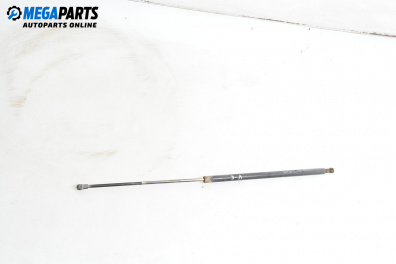 Амортисьор за багажник/товарно пространство за Renault Kangoo Van (08.1997 - 02.2008)