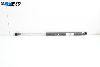 Амортисьор за багажник/товарно пространство за Renault Twingo I Hatchback (03.1993 - 10.2012)