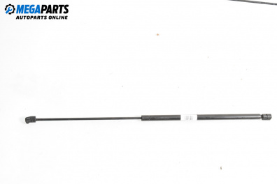 Амортисьор преден капак за Audi A6 Avant C6 (03.2005 - 08.2011)