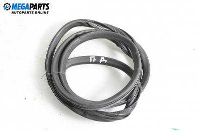 Уплътнение за врата за Audi A6 Avant C6 (03.2005 - 08.2011), 4+1 вр., комби, позиция: предна, дясна