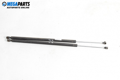 Амортисьор за багажник/товарно пространство за Renault Espace IV Minivan (11.2002 - 02.2015)