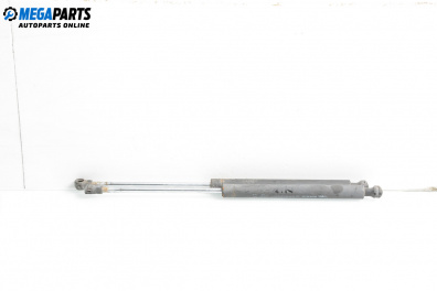 Амортисьор за багажник/товарно пространство за Renault Clio II Hatchback (09.1998 - 09.2005)