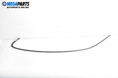 Външни лайсни за BMW 1 Series E81 (09.2006 - 09.2012), хечбек, позиция: лява