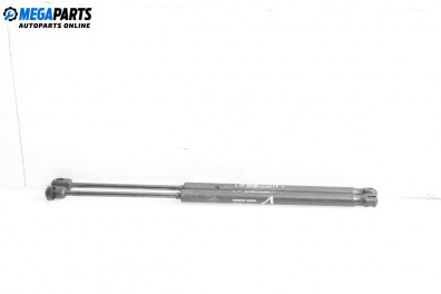 Амортисьор за багажник/товарно пространство за Fiat Punto Hatchback II (09.1999 - 07.2012)