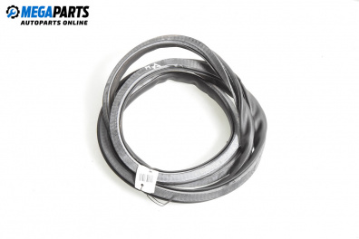 Уплътнение за врата за Audi A4 Sedan B7 (11.2004 - 06.2008), 4+1 вр., седан, позиция: предна, дясна