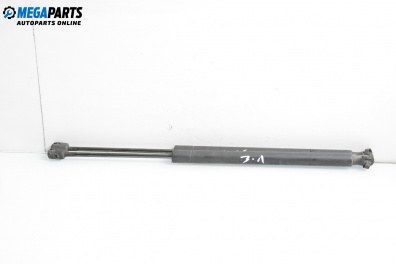 Амортисьор за багажник/товарно пространство за Renault Scenic II Minivan (06.2003 - 07.2010)