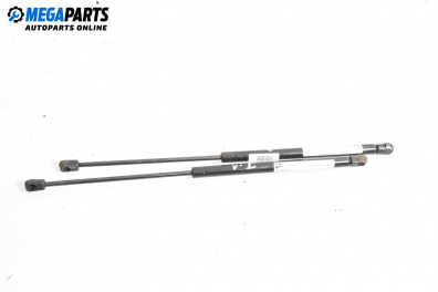 Амортисьор за багажник/товарно пространство за Peugeot 206 Hatchback (08.1998 - 12.2012)