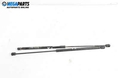 Амортисьор за багажник/товарно пространство за Renault Scenic I Minivan (09.1999 - 07.2010)