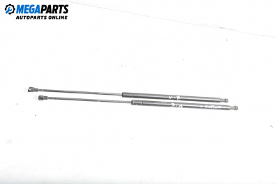 Амортисьор за багажник/товарно пространство за Citroen Xsara Break (10.1997 - 03.2010)