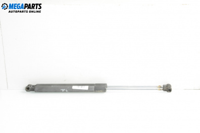 Амортисьор за багажник/товарно пространство за Renault Clio III Hatchback (01.2005 - 12.2012)