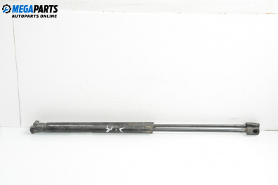 Амортисьор за багажник/товарно пространство за Mercedes-Benz A-Class Hatchback W169 (09.2004 - 06.2012)