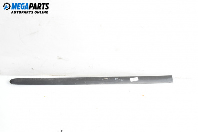 Външни лайсни за Seat Ibiza III Hatchback (02.2002 - 11.2009), хечбек, позиция: дясна