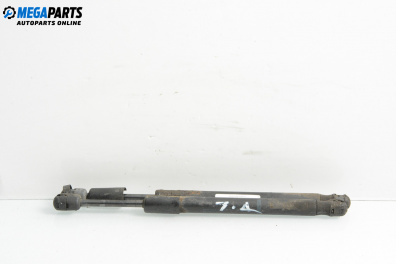 Амортисьор за багажник/товарно пространство за Audi A6 Sedan C6 (05.2004 - 03.2011)