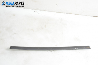 Външна лайсна врата за Volkswagen Polo Hatchback V (01.2005 - 12.2009), хечбек, позиция: предна, дясна