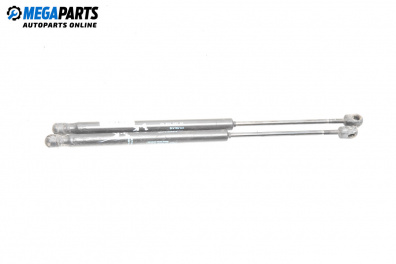 Амортисьор за багажник/товарно пространство за Citroen C3 Hatchback I (02.2002 - 11.2009)