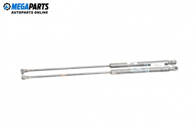 Амортисьор за багажник/товарно пространство за Citroen C4 Hatchback I (11.2004 - 12.2013)