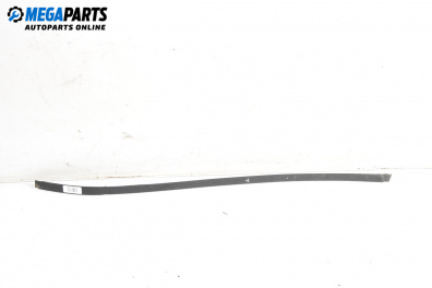 Външни лайсни за Mercedes-Benz C-Class Estate (S203) (03.2001 - 08.2007), комби, позиция: лява