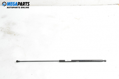 Амортисьор за багажник/товарно пространство за BMW 7 Series E65 (11.2001 - 12.2009)