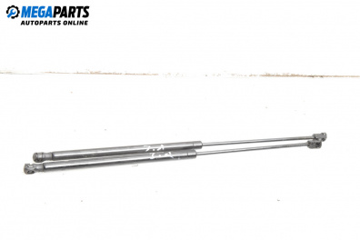 Амортисьор за багажник/товарно пространство за Renault Scenic I Minivan (09.1999 - 07.2010)