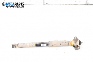 Амортисьор за Volkswagen Golf V Hatchback (10.2003 - 02.2009), хечбек, позиция: задна, дясна