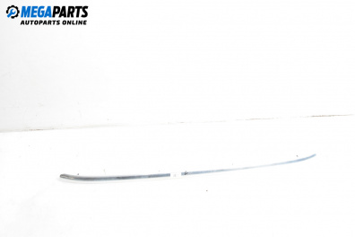 Външни лайсни за Audi A3 Sportback I (09.2004 - 03.2015), хечбек, позиция: дясна