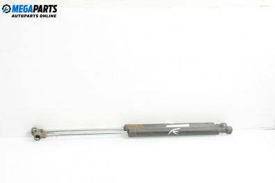 Амортисьор за багажник/товарно пространство за Renault Clio II Hatchback (09.1998 - 09.2005)