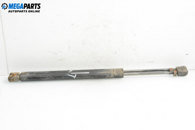 Амортисьор за багажник/товарно пространство за Ford Focus I Hatchback (10.1998 - 12.2007)