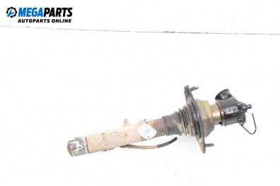 Амортисьор за Citroen C5 I Hatchback (03.2001 - 03.2005), хечбек, позиция: задна, дясна