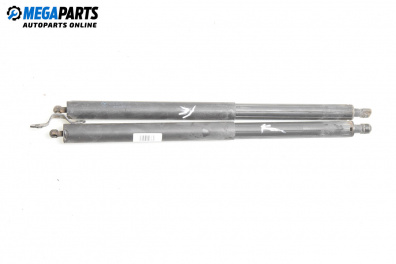 Амортисьор за багажник/товарно пространство за Mercedes-Benz M-Class SUV (W164) (07.2005 - 12.2012)