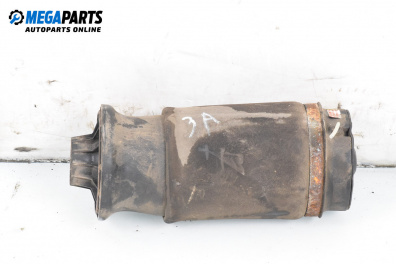 Въздушна възглавница за окачване за Mercedes-Benz M-Class SUV (W164) (07.2005 - 12.2012), джип