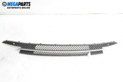 Решетка за BMW 1 Series E81 (09.2006 - 09.2012), хечбек, позиция: предна