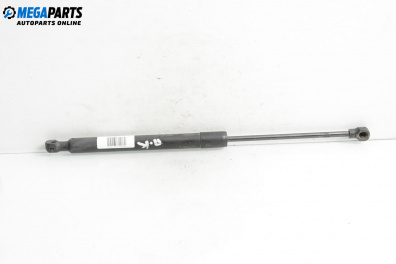 Амортисьор преден капак за Renault Clio IV Hatchback (11.2012 - 06.2019)