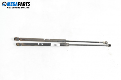 Амортисьор за багажник/товарно пространство за Audi A3 Hatchback I (09.1996 - 05.2003)