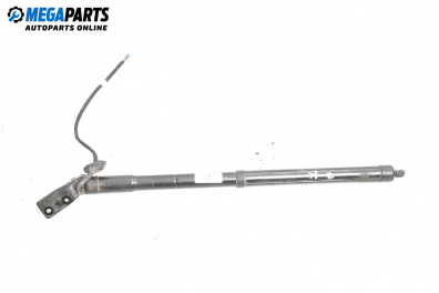 Амортисьор за багажник/товарно пространство за Renault Koleos SUV II (08.2016 - ...)