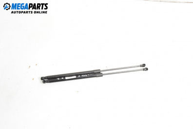 Амортисьор за багажник/товарно пространство за Peugeot 206 Hatchback (08.1998 - 12.2012)