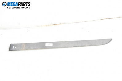 Външни лайсни за Renault Megane II Hatchback (07.2001 - 10.2012), хечбек, позиция: лява