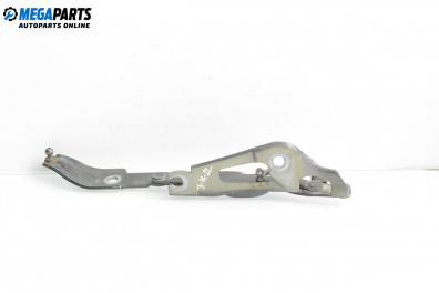 Панта заден капак за BMW 3 Series E90 Sedan E90 (01.2005 - 12.2011), 4+1 вр., седан, позиция: дясна