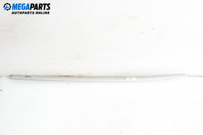 Външни лайсни за Ford Fusion Hatchback (08.2002 - 12.2012), хечбек, позиция: лява