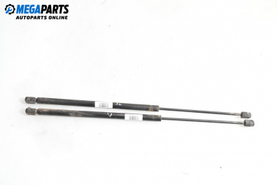 Амортисьор за багажник/товарно пространство за Fiat Croma Station Wagon (06.2005 - 08.2011)