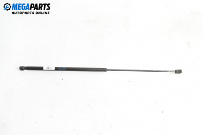 Амортисьор преден капак за Audi A4 Avant B7 (11.2004 - 06.2008)