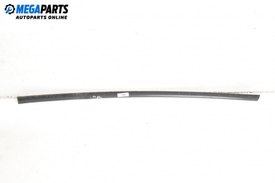 Външни лайсни за Opel Vectra C Sedan (04.2002 - 01.2009), седан, позиция: дясна