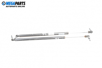 Амортисьор за багажник/товарно пространство за Chrysler Voyager Minivan IV (09.1999 - 12.2008)