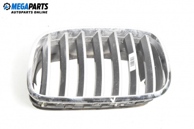 Решетка за BMW X5 Series E70 (02.2006 - 06.2013), джип, позиция: предна