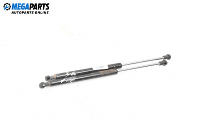 Амортисьор за багажник/товарно пространство за Renault Clio II Hatchback (09.1998 - 09.2005)