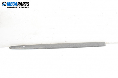 Външни лайсни за Chevrolet Tacuma Minivan (03.2005 - ...), миниван, позиция: лява