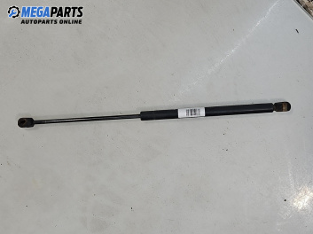 Амортисьор за багажник/товарно пространство за Mini Hatchback I (R50, R53) (06.2001 - 09.2006)