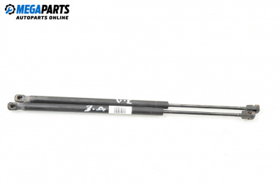 Амортисьор за багажник/товарно пространство за Renault Scenic II Minivan (06.2003 - 07.2010)