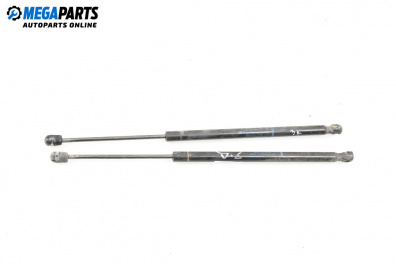 Амортисьор за багажник/товарно пространство за Renault Scenic II Minivan (06.2003 - 07.2010)